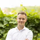 Dennis Wabnitz - Wolke 7 Immobilien I WertWerkstatt Immobilienhandel GmbH