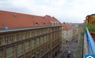 Singlewohnung mit Terrasse im Bezirk Alsergrund