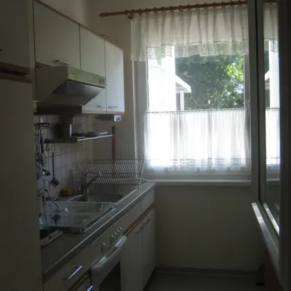 Single-Wohnung im Grünen - Bild 3