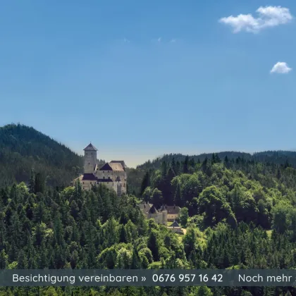 3 Baugründe im Lebensraum Waldviertel - Bild 3