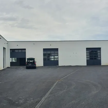 Neue Miethalle - Bild 3