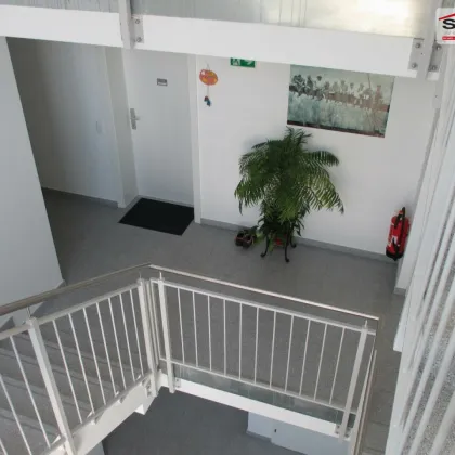 Stundungsvariante 3 Zimmer Dachgeschoss-Wohnung  mit Miete-Kaufoption Im Herzen der Stadt - Bild 3