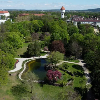CORVINUS Parkresidenz - Barrierefrei wohnen mit besonderem Service (Grundriss-Typ A) - Bild 2