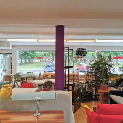 Geschäftsfläche im Zentrum von Spittal. Direkt am Am Stadtpark. - Bild 3