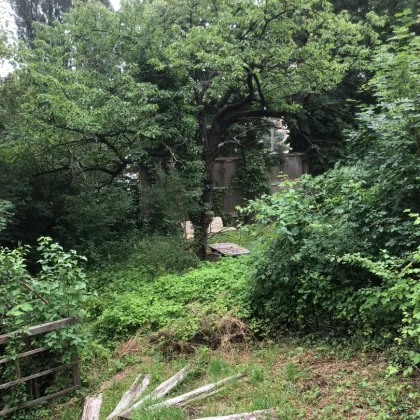 Perfektes Baugrundstück in Graz mit Stadt- und Geschäftspotenzial - jetzt zugreifen für nur 260.000€! - Bild 3