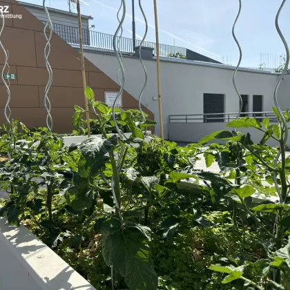 Ihr Traumzuhause wartet - Bild 3