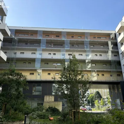 Ihr Traumzuhause wartet - Bild 3