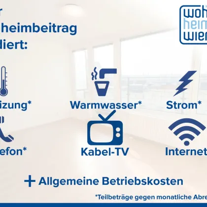 1200, Adalbert Stifter Straße/U6 Jägerstraße, neu sanierte 3 Zimmerwohnung ab sofort unbefristet zu vergeben auch WG geeignet!!! - Bild 3