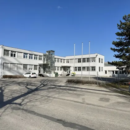 TEILANMIETUNG möglich / Neuwertige, barrierefreie Gewerbeflächen mit eigenem Parkplatz-Areal - Variante EG mit OG und UG - Bild 2