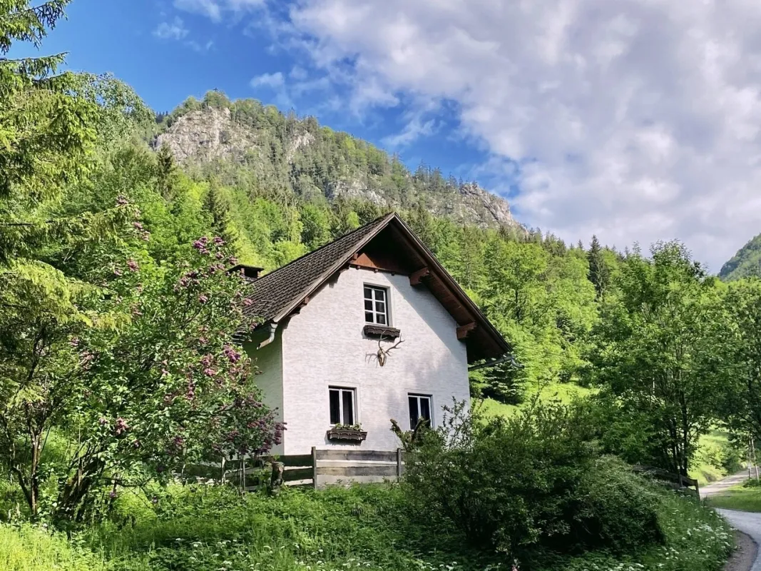 Ferienhaus im Wald - Hideaway im Naturresort - Bild 1