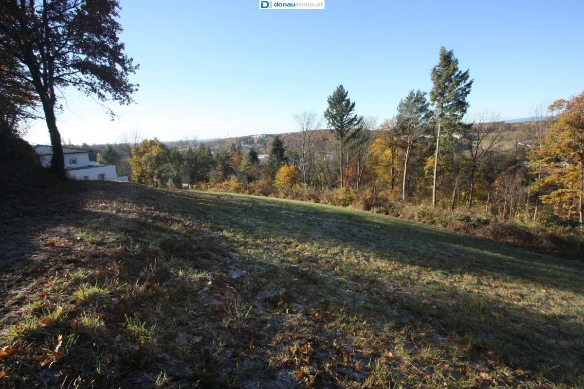 Schönes und ruhig gelegenes Baugrundstück in Bad Tatzmannsdorf - Bild 1