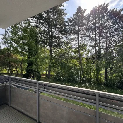 COTTAGELAGE PENZING - TOP AUSGESTATTETE WOHNUNG MIT GARTENMITBENÜTZUNG - Bild 3