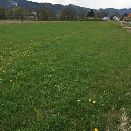 ** Baugrund in Weißkirchen - 1.122 m² in Top Lage ++ - Bild 2