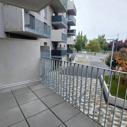 WOHNQUARTIER WILDGARTEN - Familienfreundliches Wohnen auf der Sonnenseite Wiens direkt am Rosenhügel - Bild 3