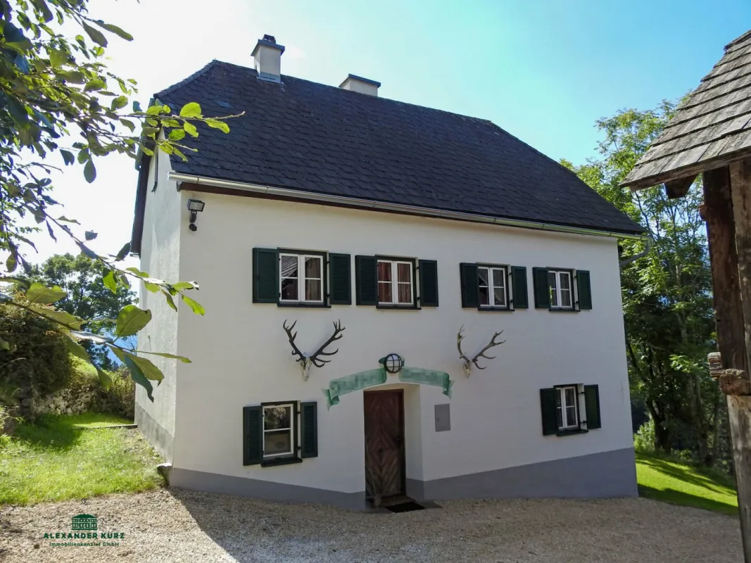 Pachtjagd - ca. 2.000 ha zentral in Österreich - Bild 1