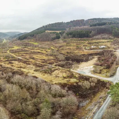 Sensationelle Investition! Grundstück in Thermenregion mit Projektstudie für Wohn/Ferienprojekt mit Badesee - Bild 2