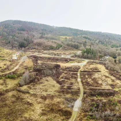 Sensationelle Investition! Grundstück in Thermenregion mit Projektstudie für Wohn/Ferienprojekt mit Badesee - Bild 3
