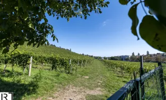 NEU: ruhiges und grünes Wohnen am Schafberg