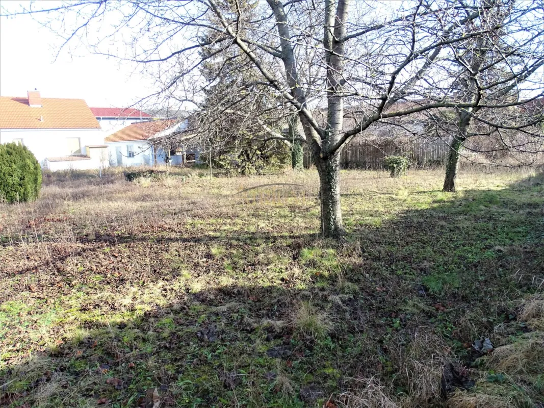 2231m² Baugrund in Schwechat-Mannswörth - Bild 1