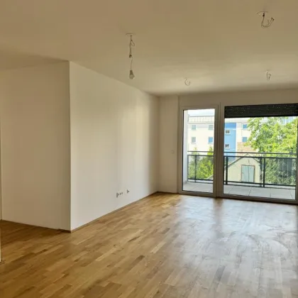 Neubau im Stadtzentrum: Wohnqualität in Hollabrunn - jetzt einziehen! - Bild 2