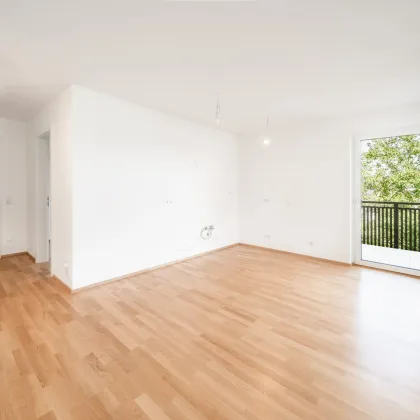 Erstbezug: Sonnige 3-Zimmer Wohnung im 2. OG Top C08 - Bild 3