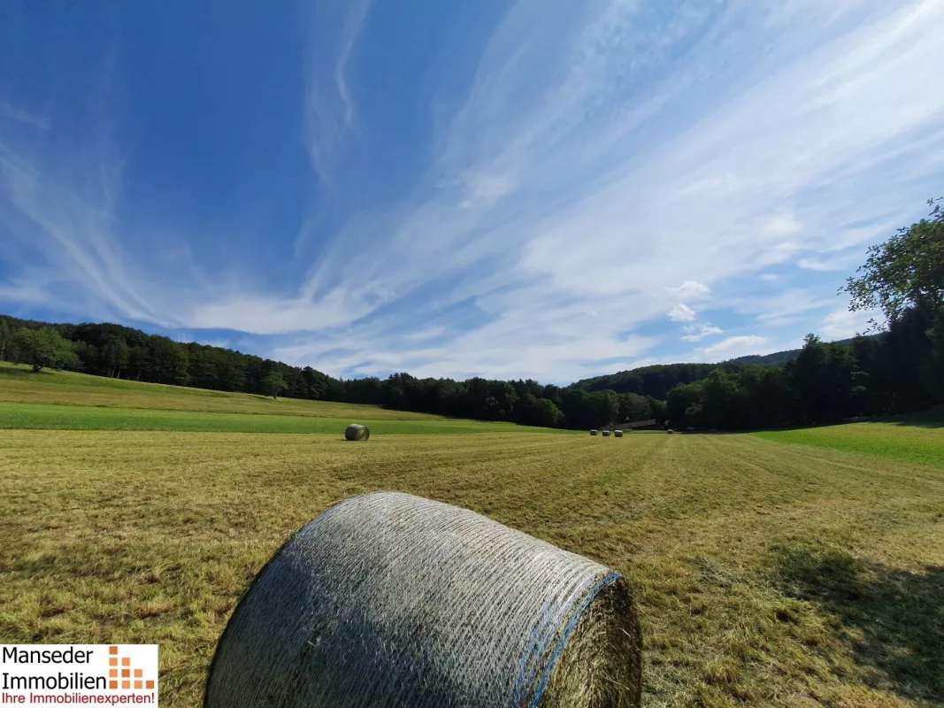SONNENTAGE GENIESSEN! Landwirtschaftliche Grundstücke für Freizeit- und Hobbyaktivitäten zu verpachten! - Bild 1