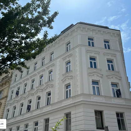 Vivienne - Bild 3