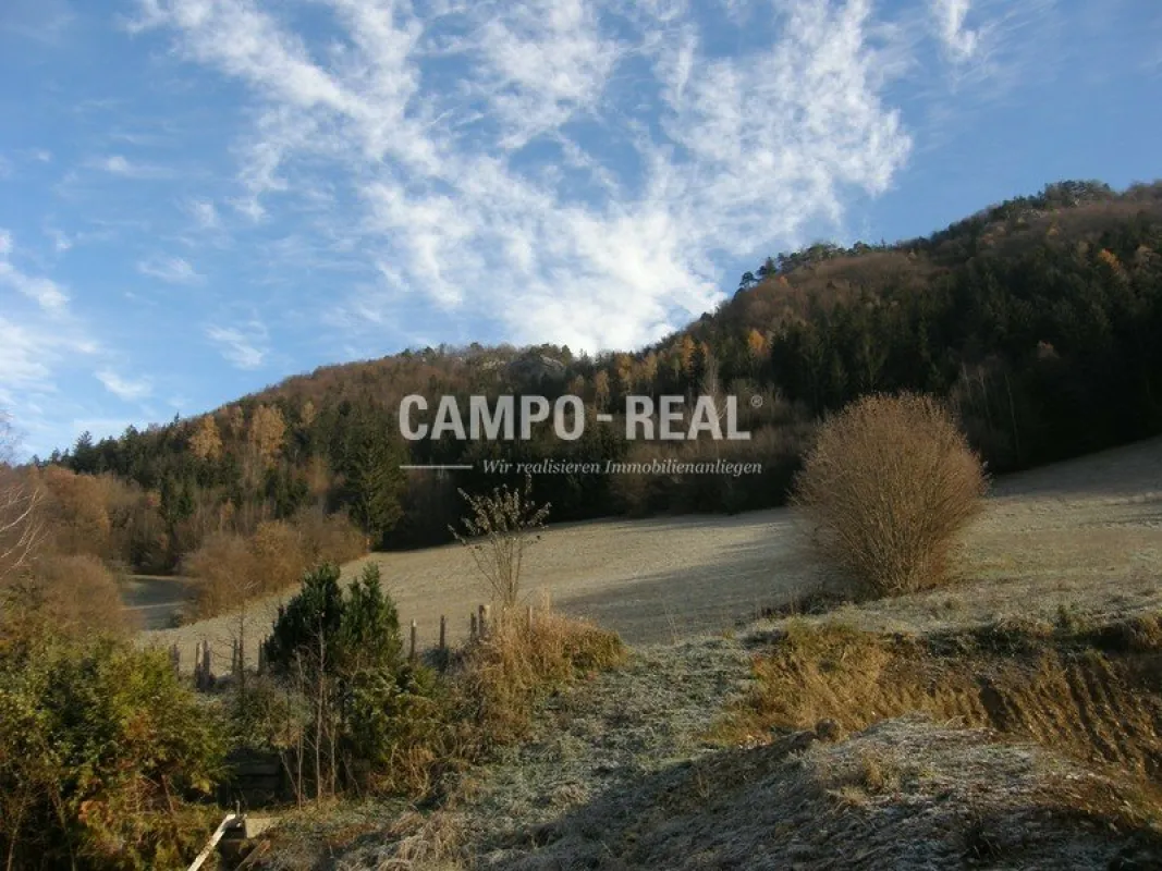 LAND- UND FORSTWIRTSCHAFT: Wald und Wiese im - Pielachtal - arrondiert - Bild 1