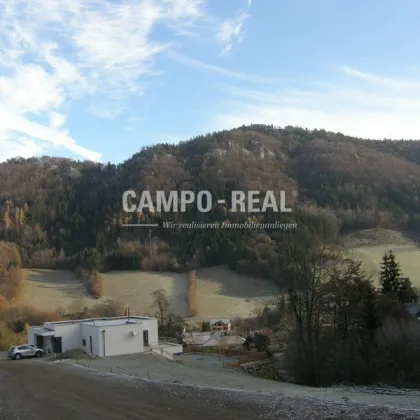 LAND- UND FORSTWIRTSCHAFT: Wald und Wiese im - Pielachtal - arrondiert - Bild 2