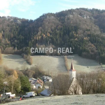 LAND- UND FORSTWIRTSCHAFT: Wald und Wiese im - Pielachtal - arrondiert - Bild 3