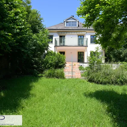 Romantische Altbauvilla mit 10 Zimmern, direkt am Weidlingbach! - Bild 3