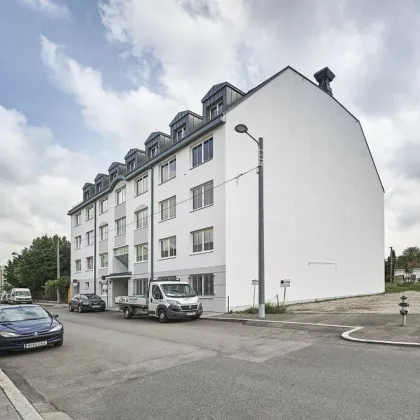Helles 2- bis 3-Zimmer-Büro nächst Niederösterreich! - Bild 2