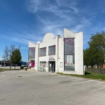Geschäftsflächen Gewerbe 673m2 + 457m2  in bester Lage in Bruck an der Leitha zu vermieten/zu verkaufen - Bild 2