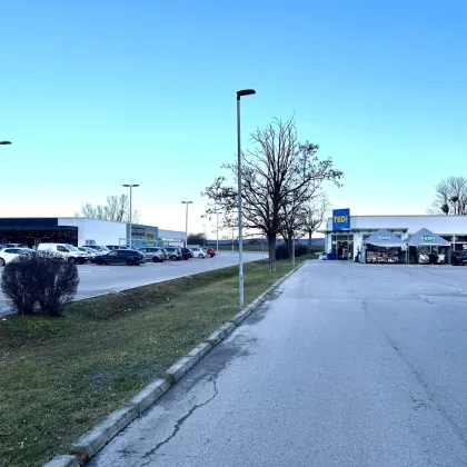 Geschäftsflächen Gewerbe 673m2 + 457m2  in bester Lage in Bruck an der Leitha zu vermieten/zu verkaufen - Bild 3
