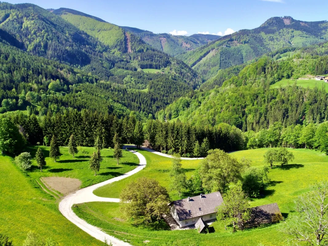 Ferienhaus im Wald - Hideaway im Naturresort - Bild 1