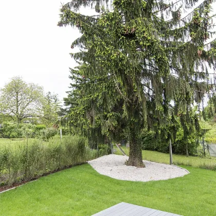 SONNIGES HAUS AM HEUBERG MIT SÜDWESTGARTEN & TRAUMBLICK - Bild 3