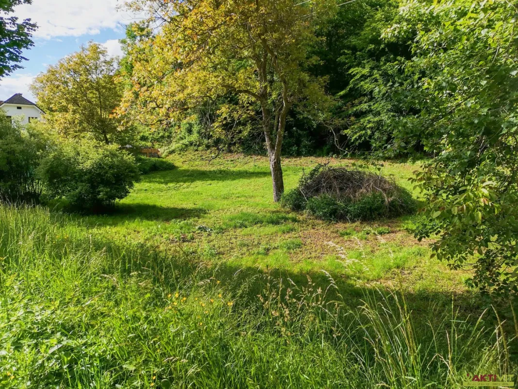Update! - Freiland Grundstück an der Grazer Stadtgrenze. - Vielfältige Nutzungsmöglichkeiten. - Bild 1