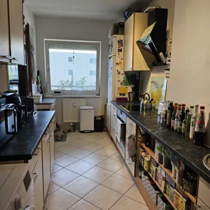 Gemütliche 4-Zimmerwohnung in Luftenberg - Bild 2
