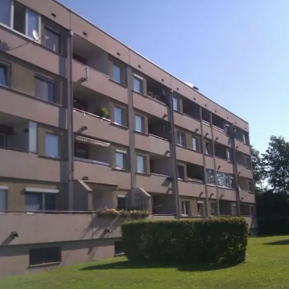 Große 4-Zimmer Wohnung in WELLA Straße 4a Luftenberg  TOP 32 - Bild 2