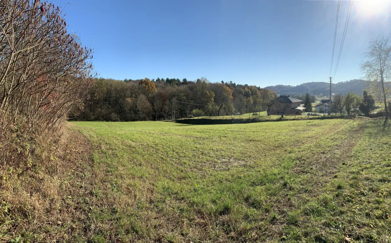 Baugrundstück, Toplage, leichte Süd-Hanglage, Nähe Loipersdorf und Jennersdorf - Bild 1