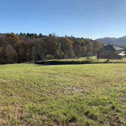 Baugrundstück, Toplage, leichte Süd-Hanglage, Nähe Loipersdorf und Jennersdorf - Bild 2