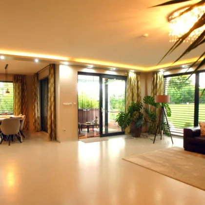 Neuwertige Villa in Schachendorf: 5 Zimmer, Garten, 3 Terrassen für 980.000 €! - Bild 2