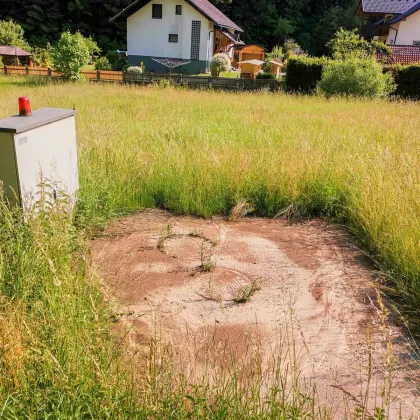 Update! - Wohnbau-Grund mit Garten-Anteil. - Ruhelage nahe St. Andrä. - Leben im Grünen. - Bild 3