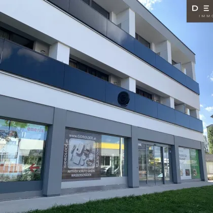 GESCHÄFTS- UND BÜROFLÄCHEN WIENER NEUSTADT - Bild 3