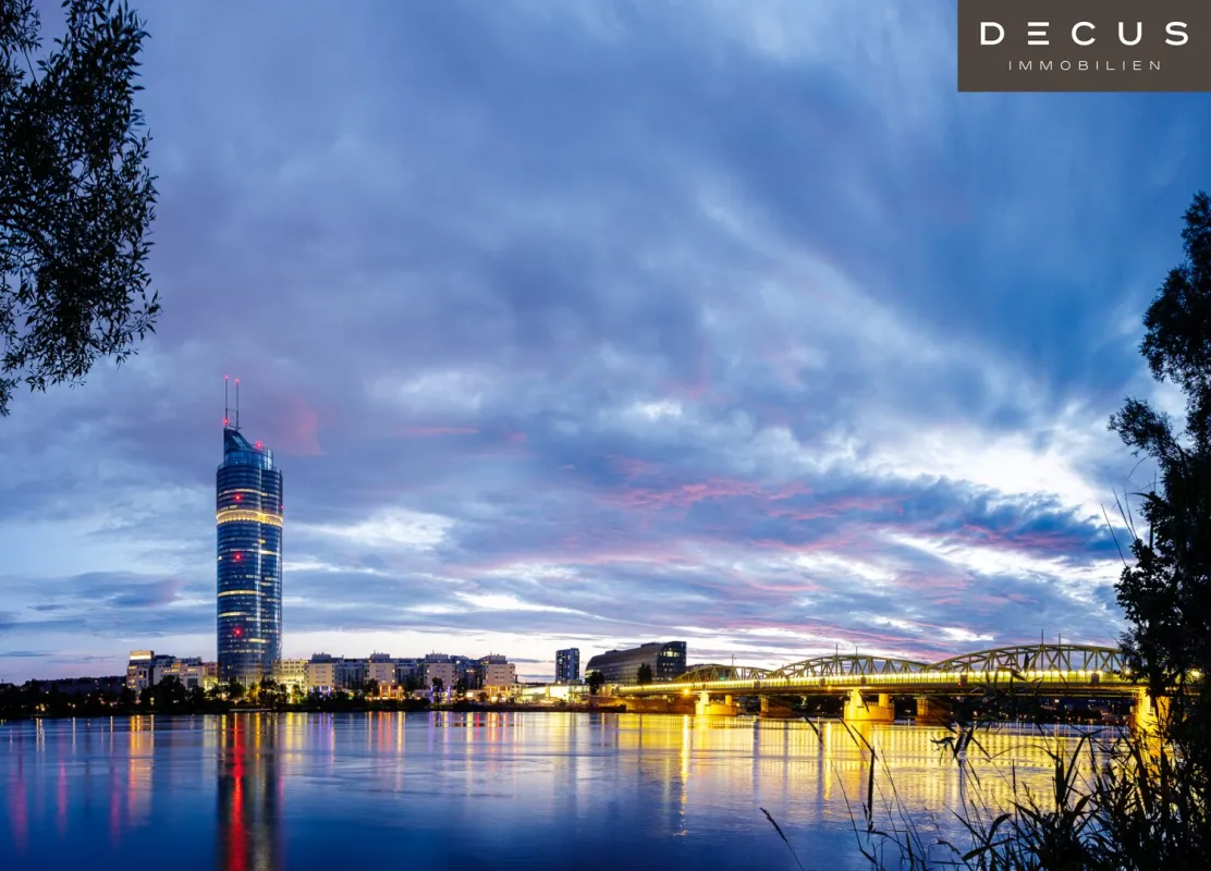 + + + MILLENNIUM TOWER + + + Erstklassige Büros mit Ausblick + + + - Bild 1