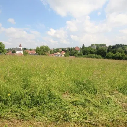 3662 m² Grundstück in 4760 Raab zu kaufen - Bild 3