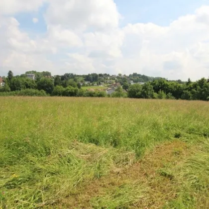 3662 m² Grundstück in 4760 Raab zu kaufen - Bild 2