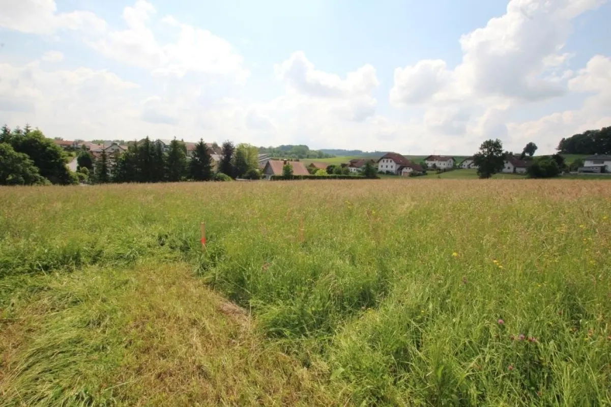 3662 m² Grundstück in 4760 Raab zu kaufen - Bild 1