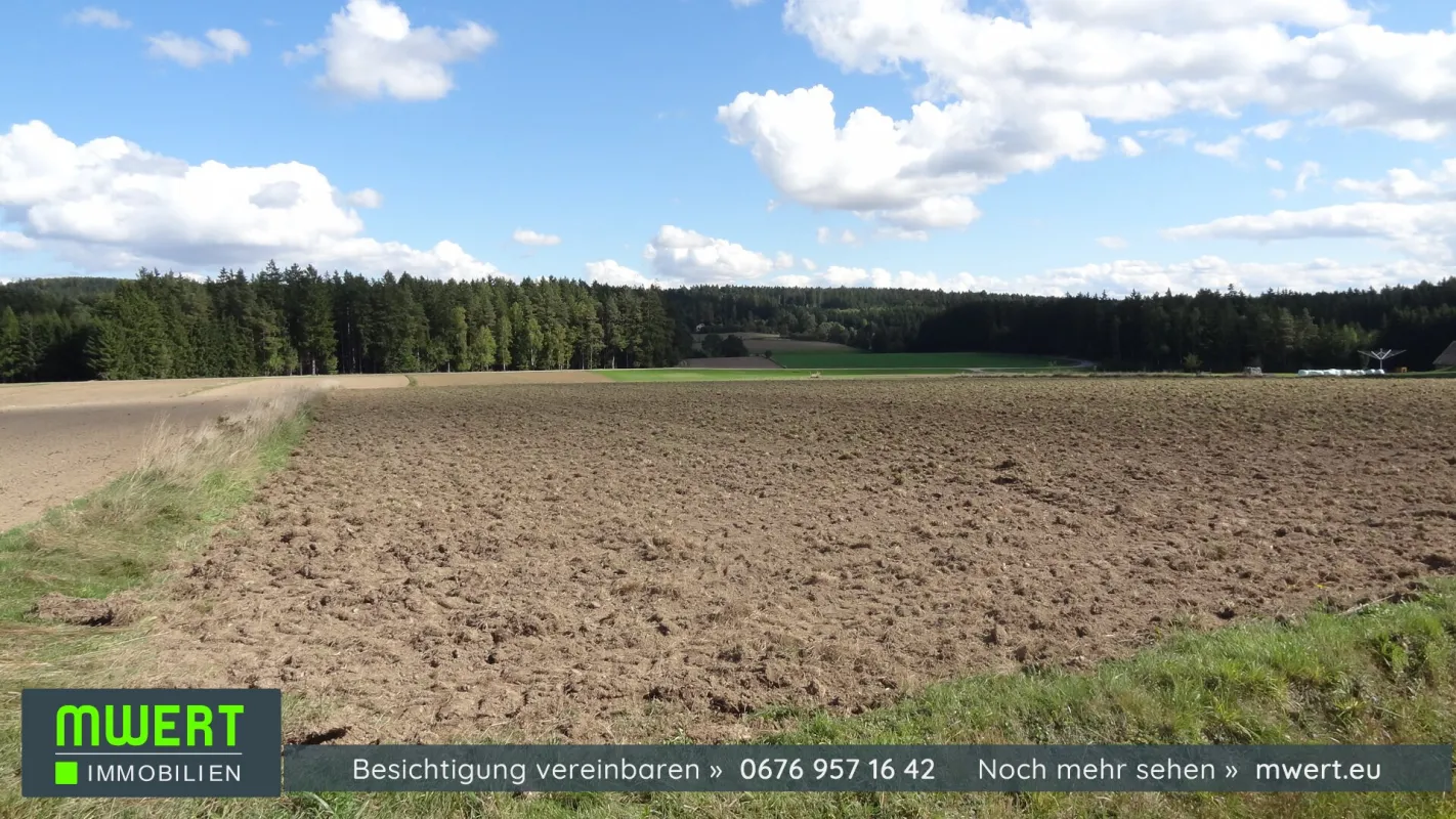 2 große Baugründe im Gemeindegebiet Reingers - Bild 1