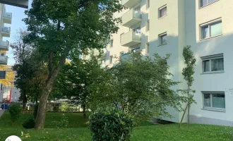 Renoviert | Charmante 3 Zimmer Wohnung mit Balkon!